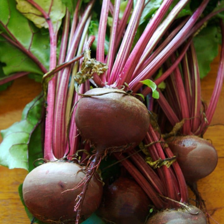Golden Beet Bunch