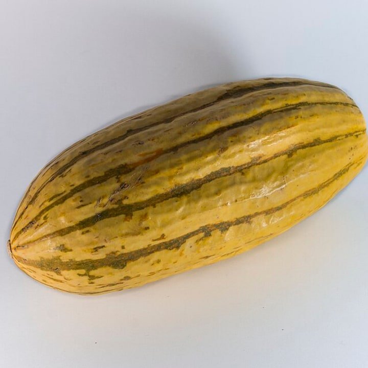 Delicata Squash
