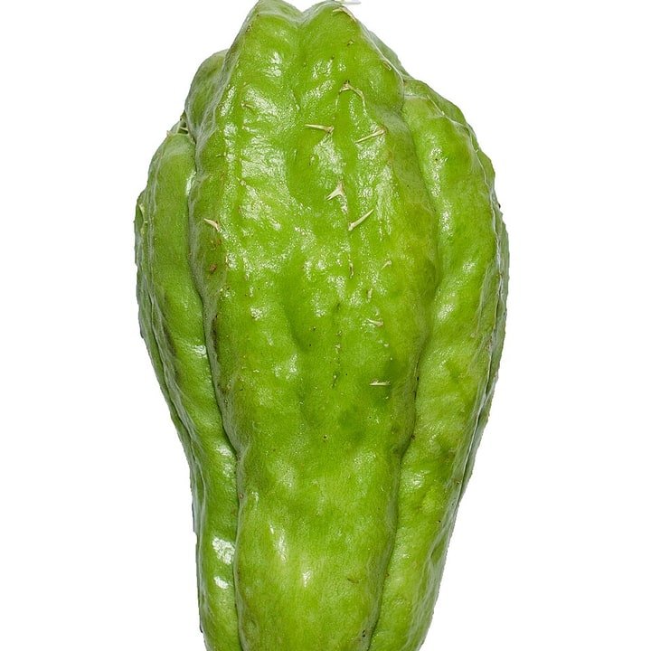 Chayote Pear