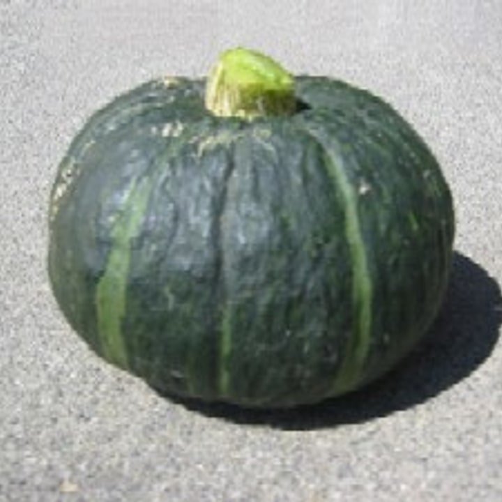 Kabocha Pumpkin