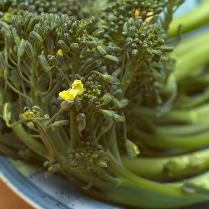 Broccolini Stalks