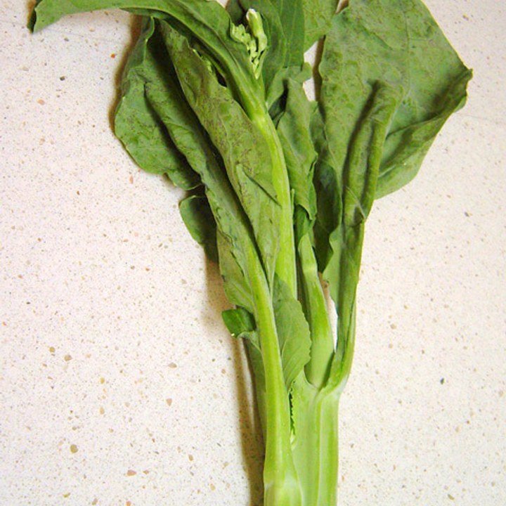 Chinese Broccoli Gai Lan
