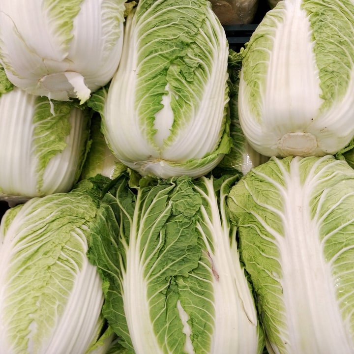 Chinese Cabbage Bok Choy XL