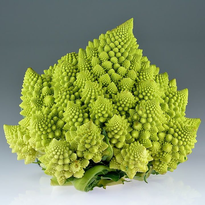 Romanesco Head