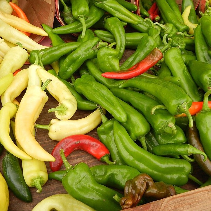 Pepper Rows