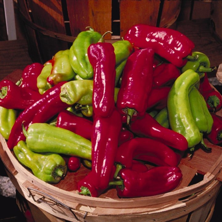 Cubanelle Pepper