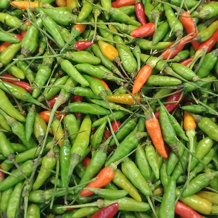 Thai Bird Chili