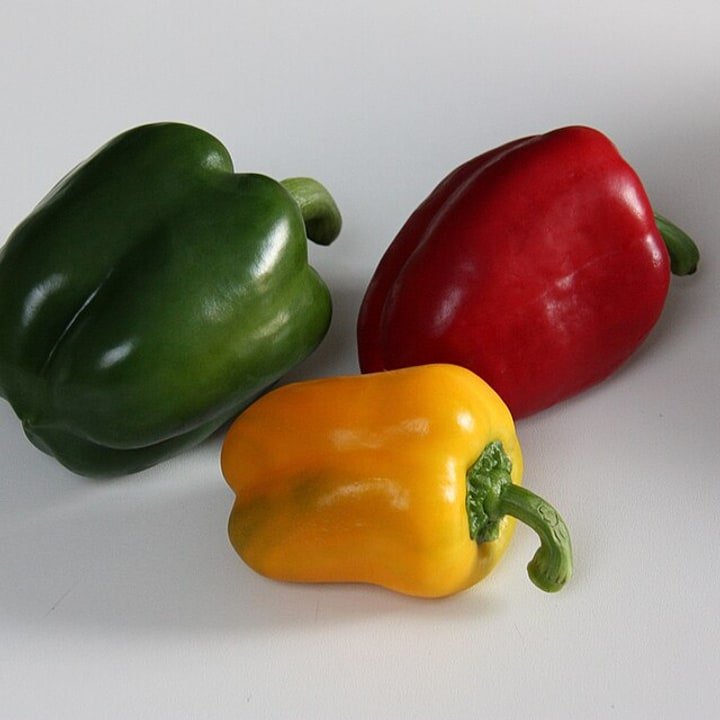 Bell Pepper Orange