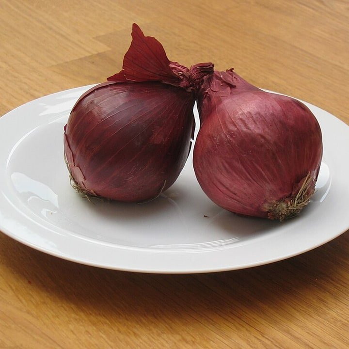 Pink Onion Medium