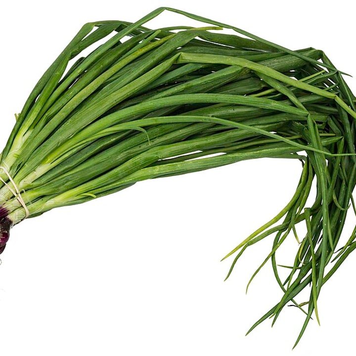 Nappa Scallion