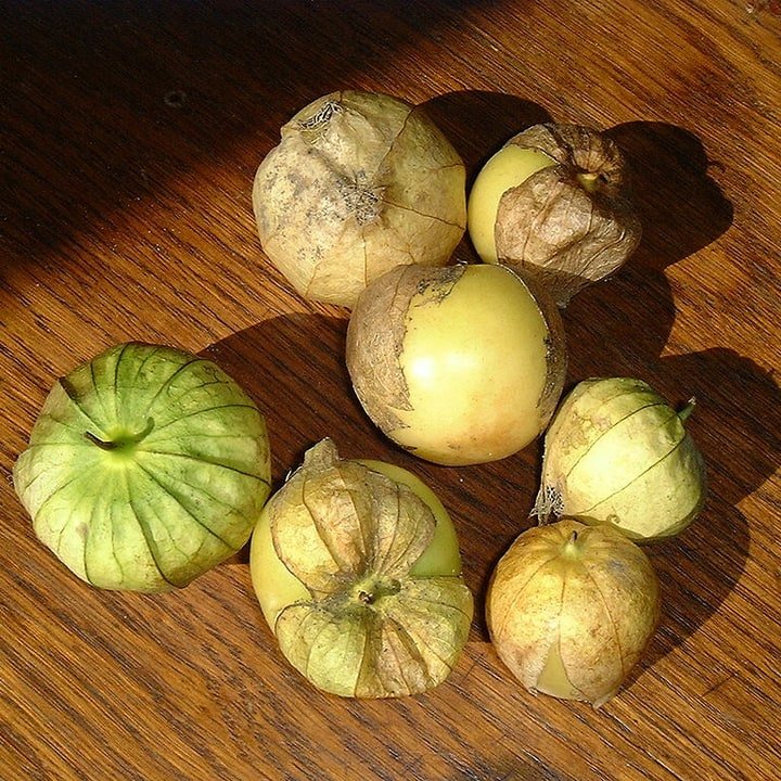 Tomatillo Green Husk